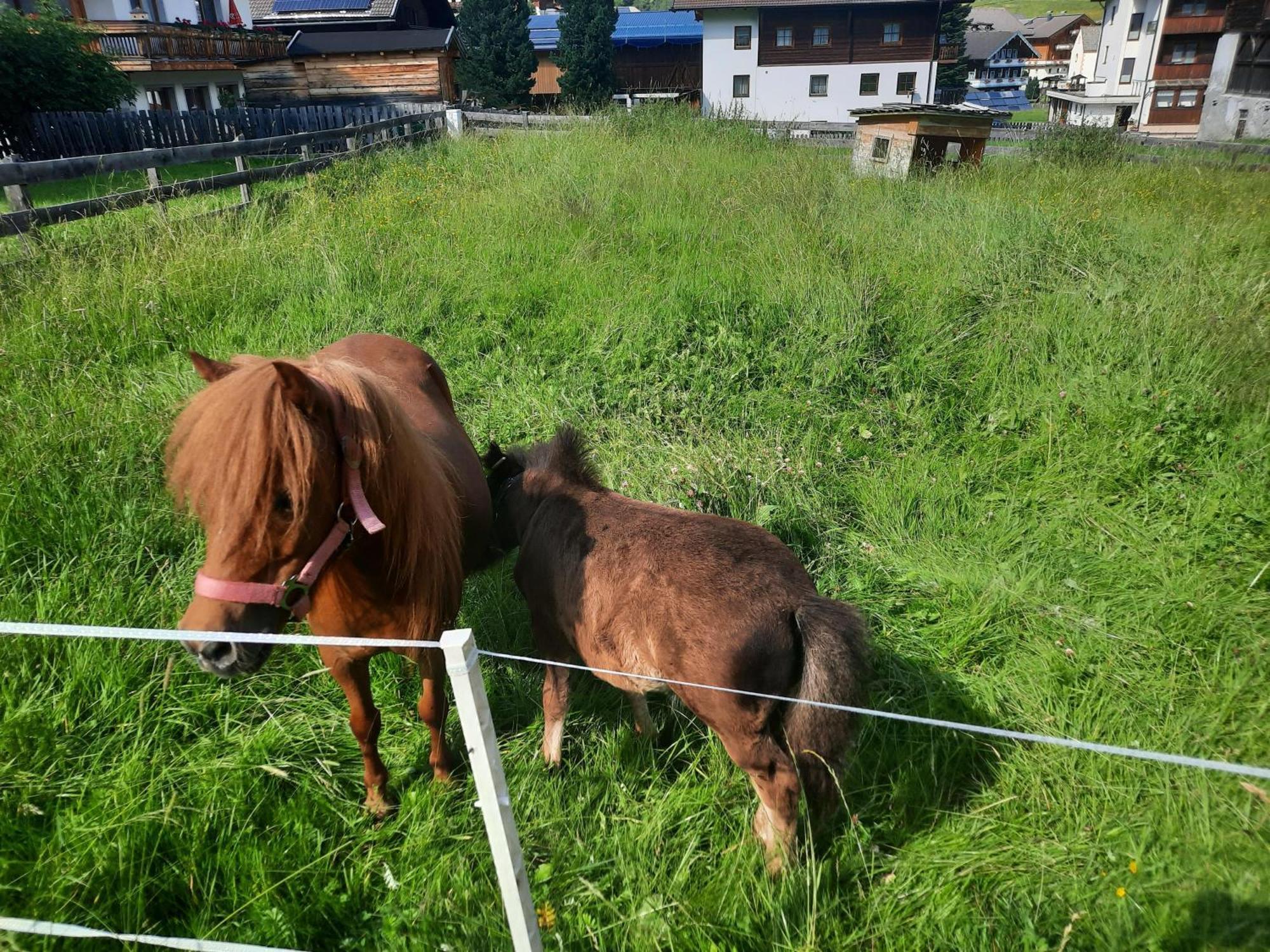 Obenfigerhof