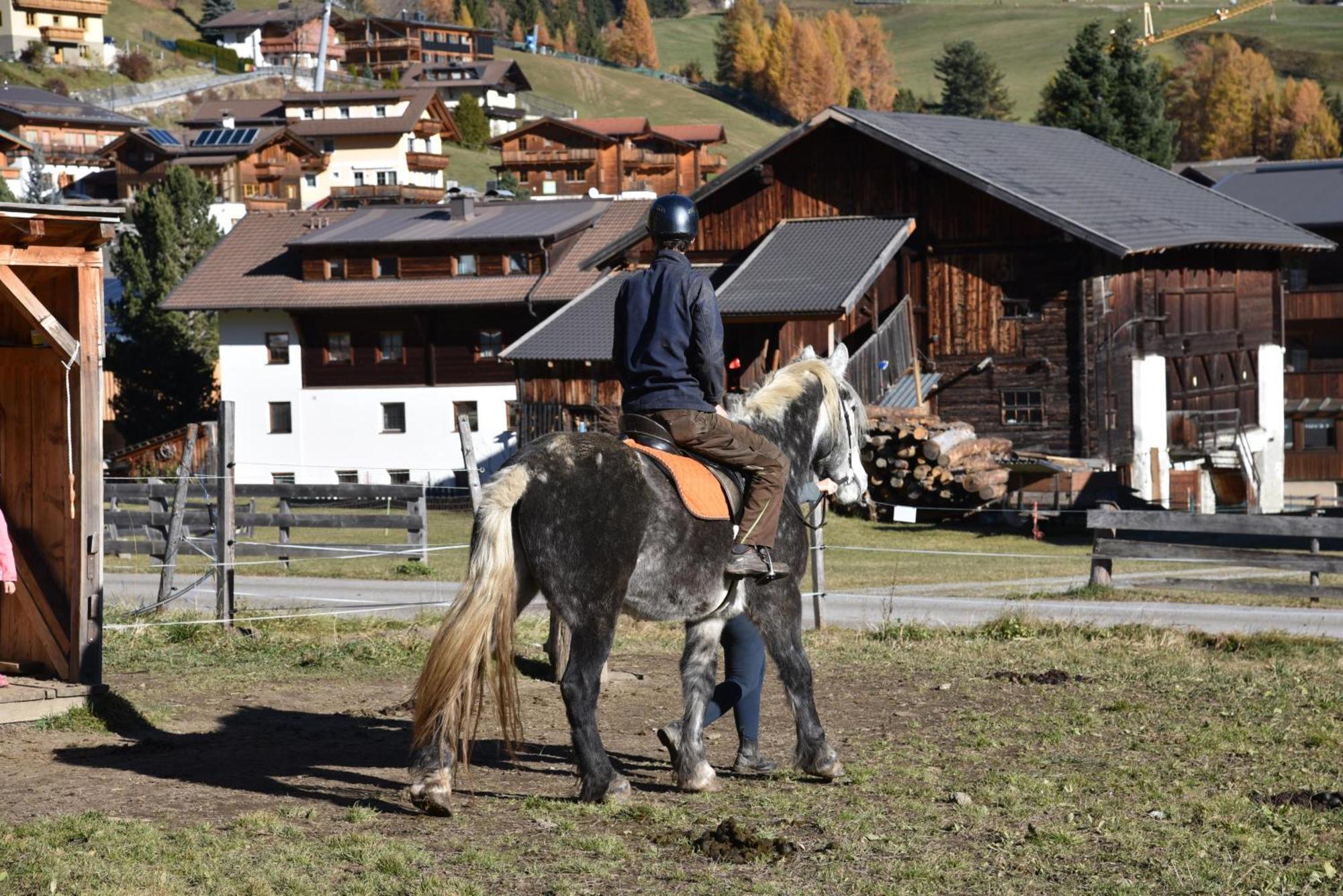 Obenfigerhof Appartement