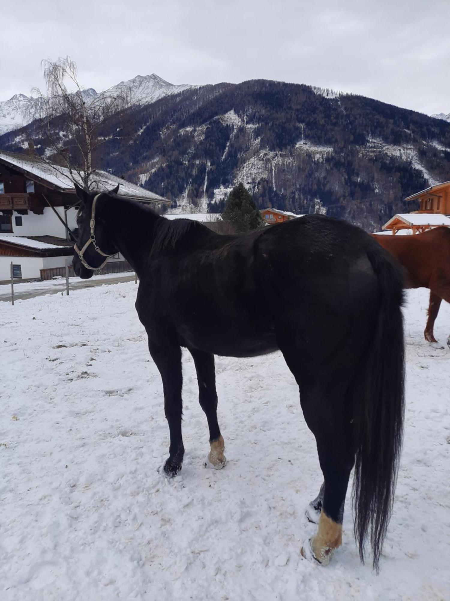 Obenfigerhof Kals am Grossglockner